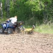 Texas whitetail deer food plots