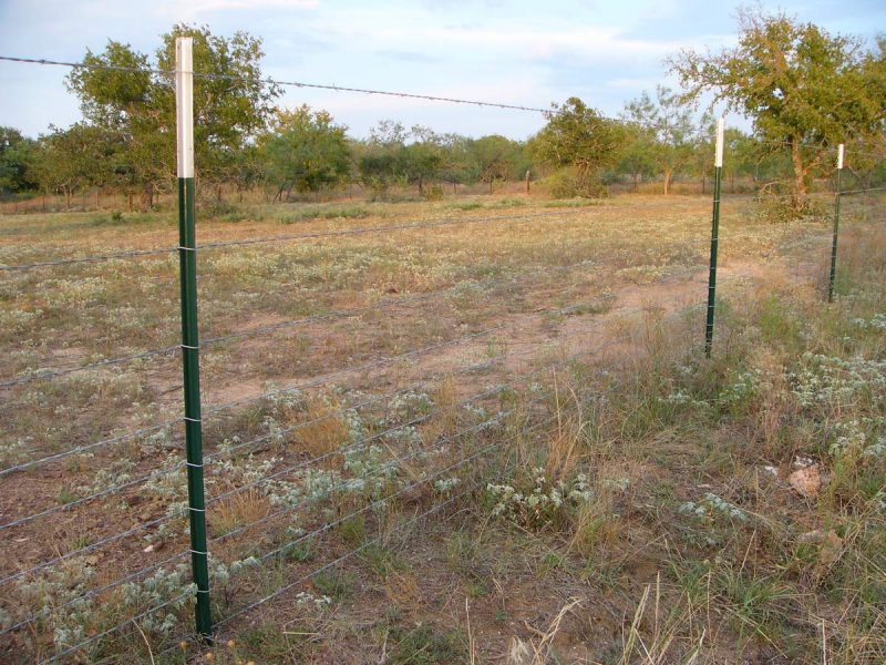 Texas Fence Laws What You Need to Know