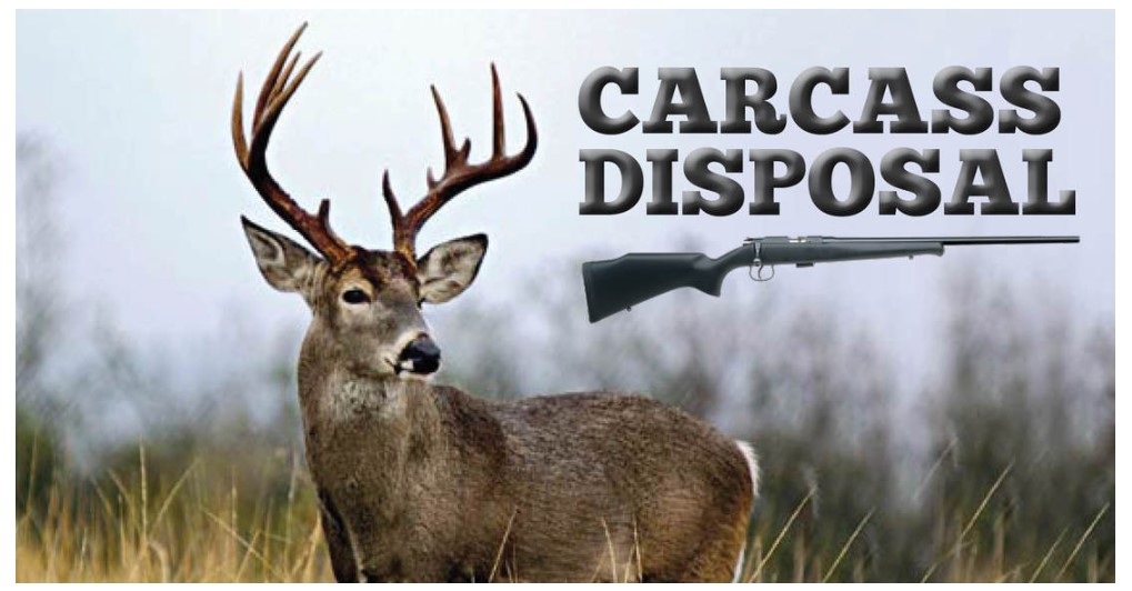 Texas Deer Carcass Disposal Regulations